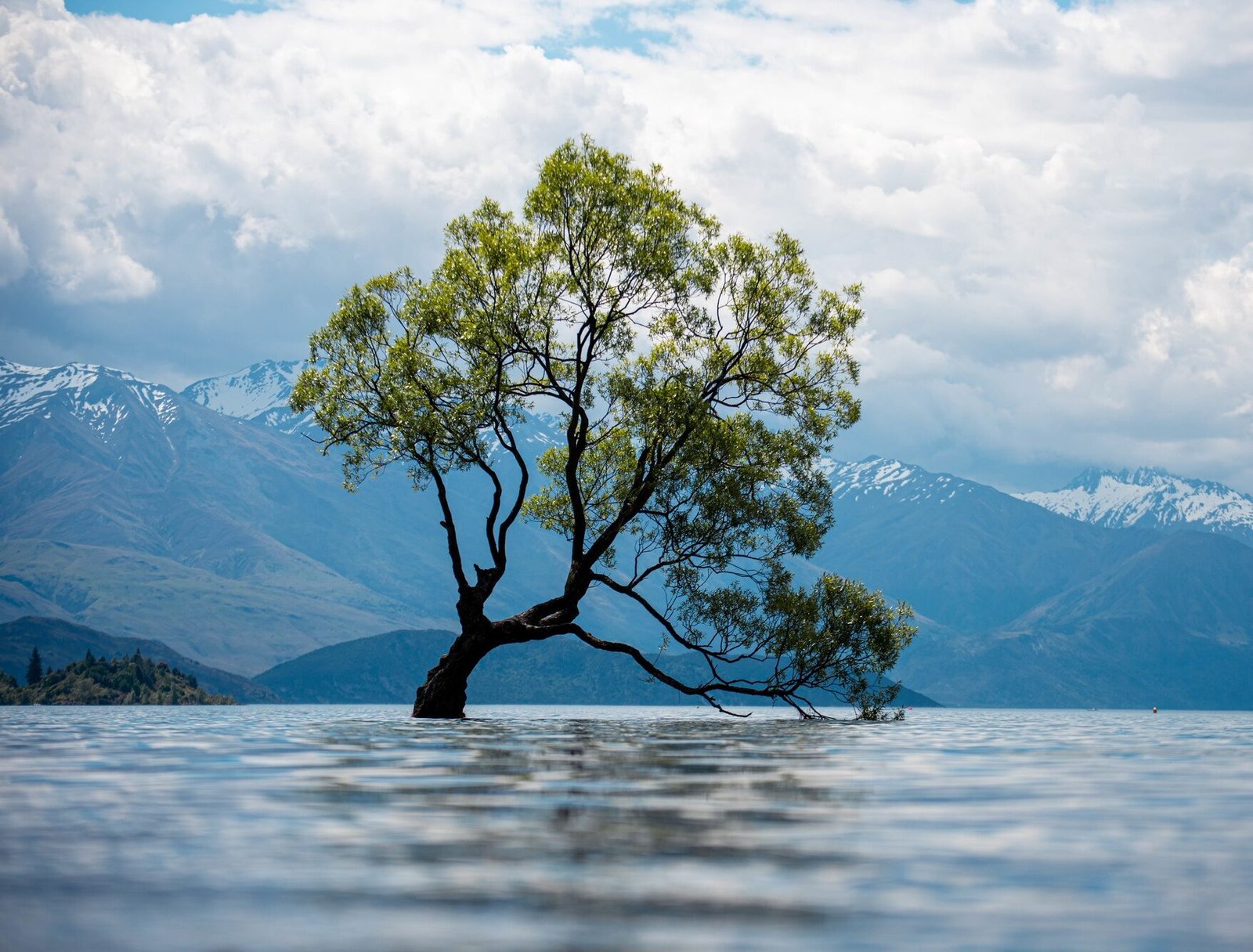 Voorbeeldafbeelding 3